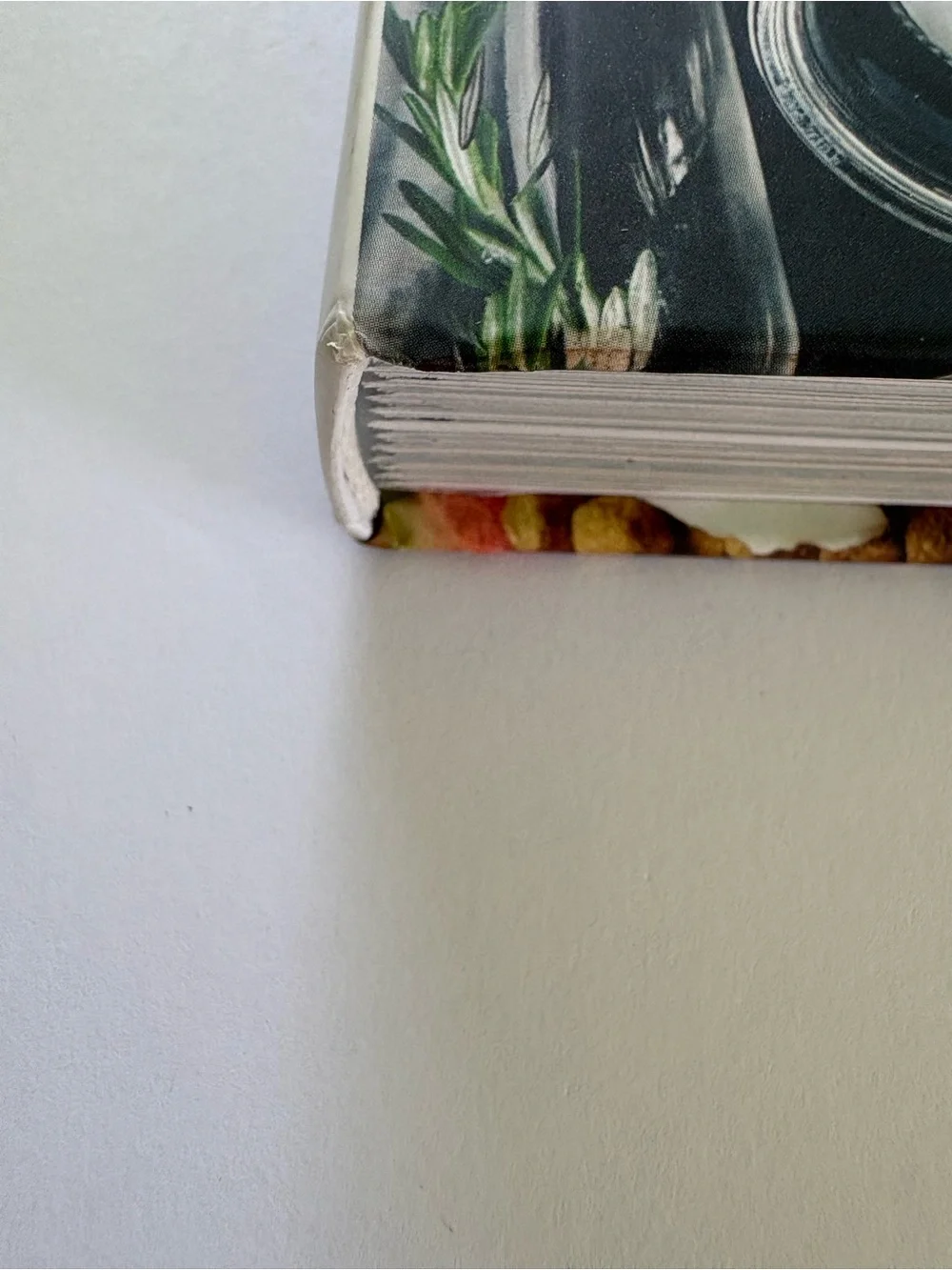 The Forever Dog Life - Dog Care & Recipe Book (White/Cream Cover)